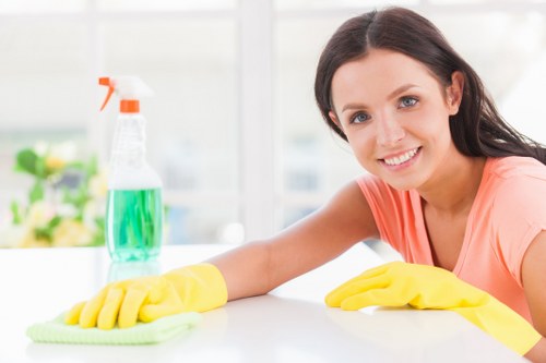 Professional office cleaning in a modern workspace