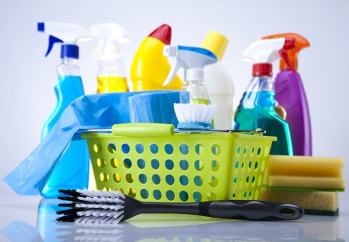 Domestic cleaning essentials arranged for a tidy home