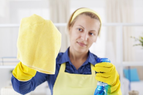 Bathroom deep cleaning with focus on grout, fixtures, and tiles