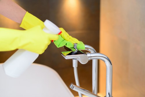 Professional deep cleaning of kitchen surfaces and appliances
