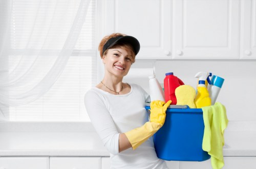 Professional commercial cleaning in an office environment