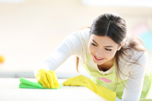 Professional window cleaning improving a home exterior