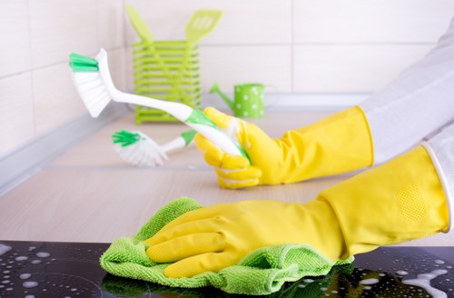 Deep cleaning tasks for a tidy house