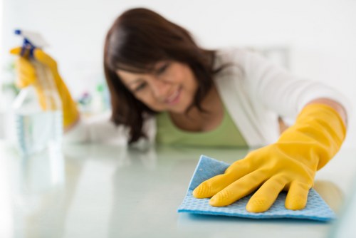 Bathroom move out cleaning with scrubbing and sanitizing