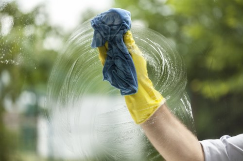 Cleaning supplies used in domestic cleaning routines