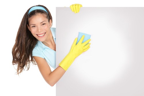 Cleaning supplies organized for house cleaning