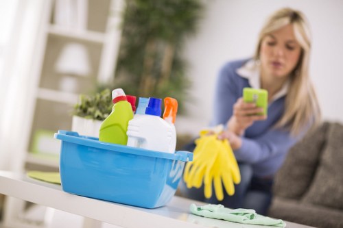Eco-friendly commercial cleaning in a professional building