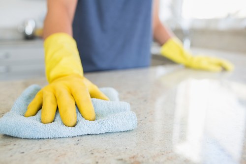 Eco-friendly domestic cleaning tools and products